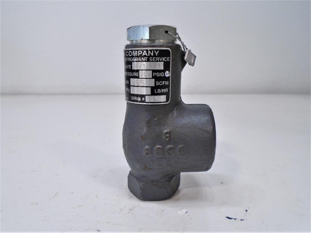 Cyrus Shank 1/2" x 1" NPT Safety Relief Valve, Type 813, 300 PSIG